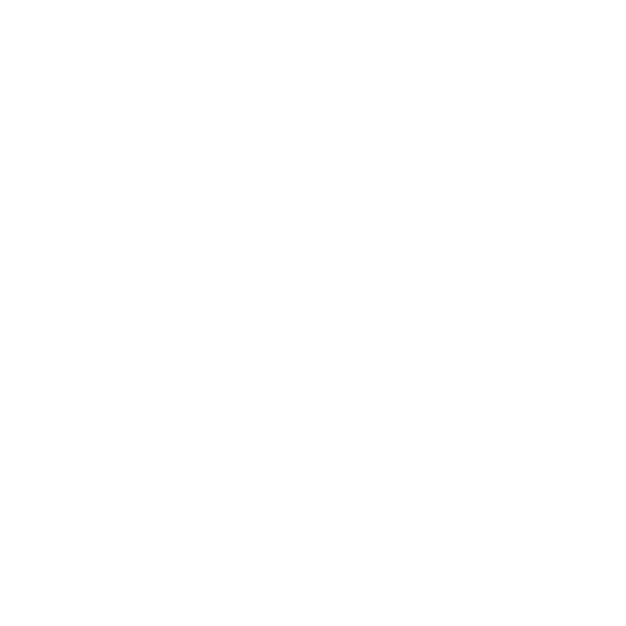 Audi Case Studies